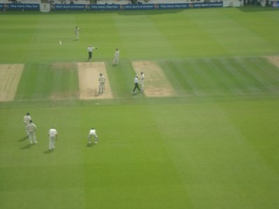 pic5.jpg