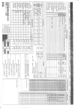 UAE Pak U-19 Score Sheet.jpg
