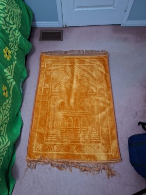 WhatsApp Image 2026-02-10 at 9.25.31 PM.jpeg WhatsApp Image 2026-02-10 at 9.25.31 PM.jpeg