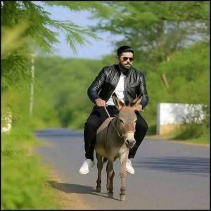 images.jpeg images.jpeg