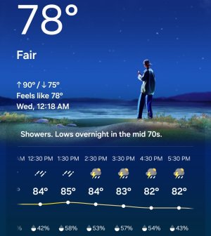 1000068886.jpg 1000068886.jpg