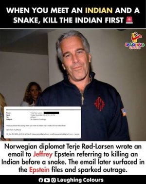 IMG_8108.jpeg IMG_8108.jpeg