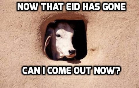 EiD GoNe.jpg