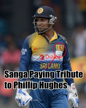 sanga.jpg