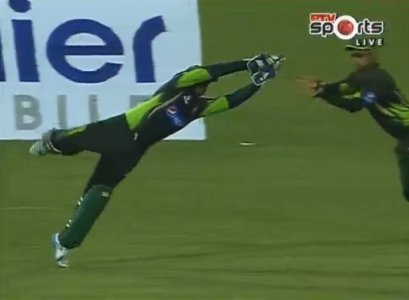 sarfi catch.jpg
