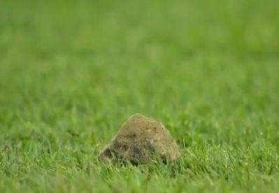 Stone.JPG
