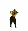 03fd9b503aab9f4c7af1f89acdb58008a6dcabc3.gif