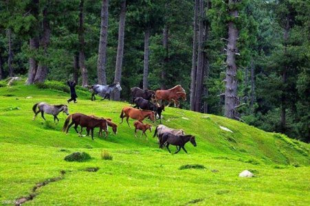 its Azad kashmir.jpg