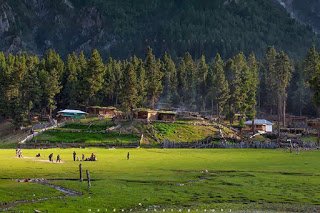 Ultimate-Cricket-Ground-Fairy-Meadows-Pakistan.jpg