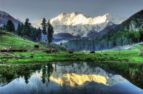 02-fairymeadows1.jpg