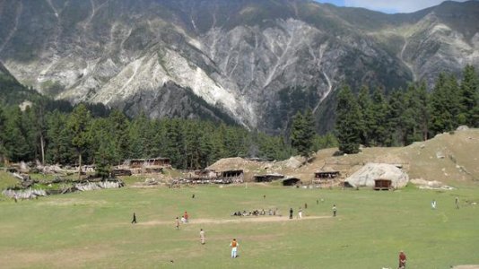 this is how pakistan love cricket.jpg