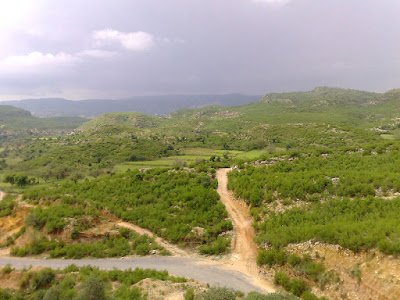 31082008517.jpg