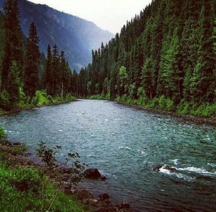 369183_gallery_54e4f537d2ccb_jpg_fa_rszd.jpg