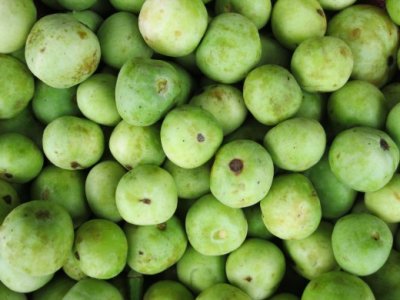 Tinda.jpg