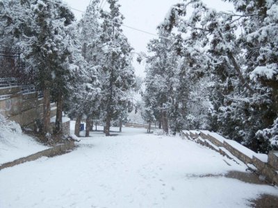 ziarat2.jpg