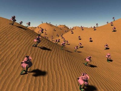 noshki desert.jpg