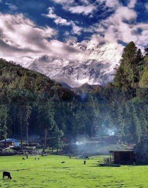 Fairy Meadows Nanga Parbat.jpg