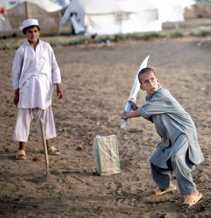 Cricket.jpg