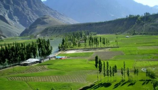 TheBeautyofPhanderValleyBaltistancopycopy.jpg