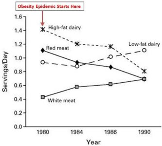 fatty-food-consumption-from-1980-1990.jpg