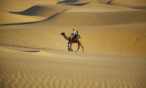Desert Life #Pakistan.jpg