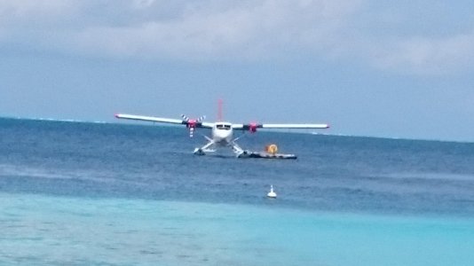DSC_0010_6.jpg
