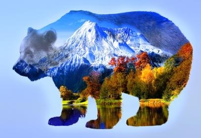 Double Exposure Bear 2.jpg