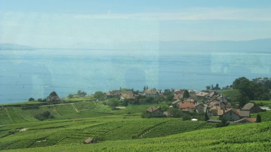 IMG_1412.jpg