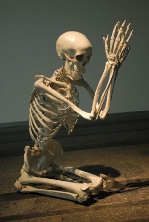 d.jpg