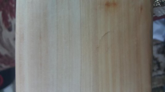 20160827_134519 1.jpg