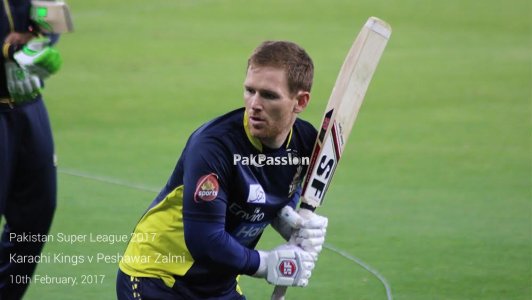 psl-pic-3.jpg