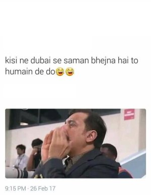 lq.jpg