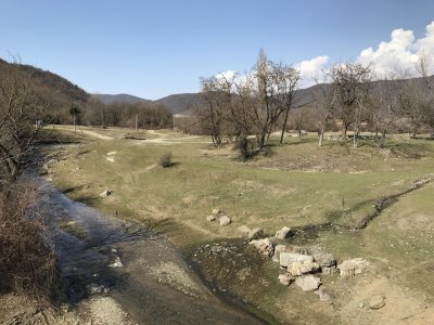 IMG_9362.jpg