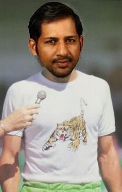 tiger.jpg