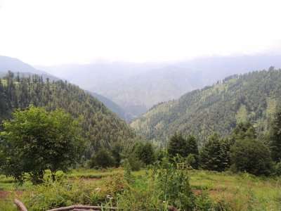 169.jpg