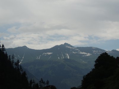 203.jpg