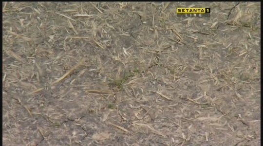08-07-04 - Setanta Sports 1 - 1[(008317)11-54-27].JPG