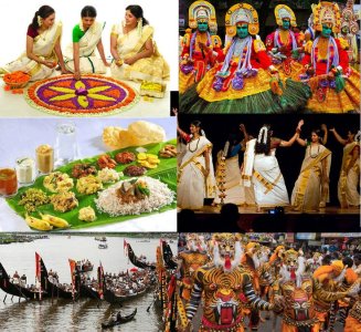 69b0fc46244b7e863b92bedb6f79c8b8--onam-festival-the-festival.jpg