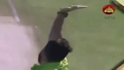 giphy.jpg
