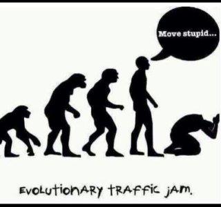 dd18e42f59291dba9d85471fa86c1a1e--human-evolution-atheism.jpg