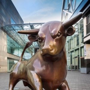 Bull.jpg