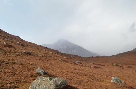 DSC_1376.jpg