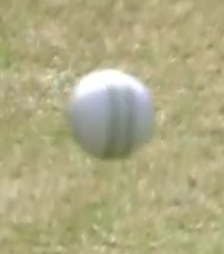 Capture3333.PNG