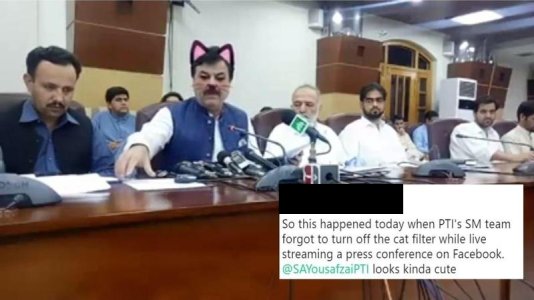 KP_government_cat.jpg
