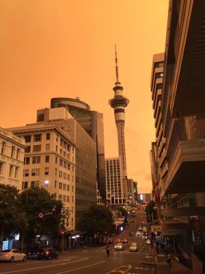 auckland.jpg