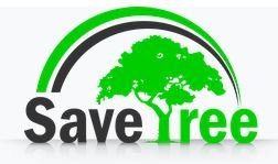 save tree.JPG