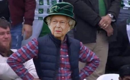 Lady.jpg