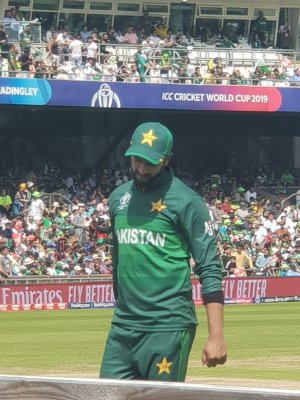u194.jpg