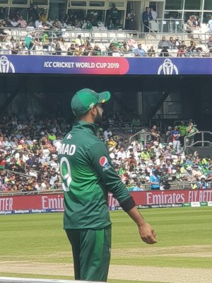 u195.jpg