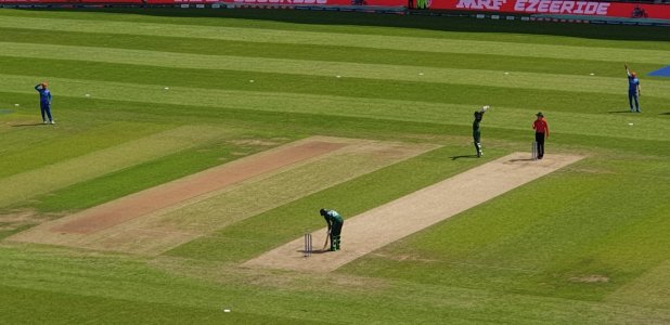 starc.jpg